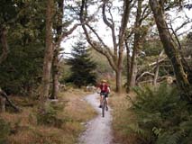 Roz riding on singletrack through oak trees.