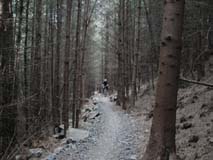Roz on grey shingle singletrack through dense and dark conifers.