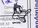 Donald duck rubber stamp on brevet card