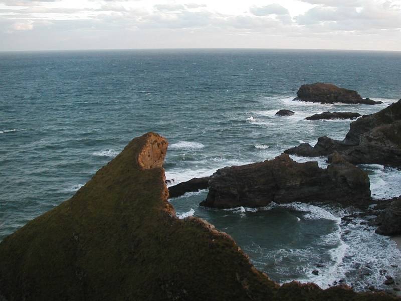 Looking along steep hillside falling away into the sea, rich green and brown colours in the sun.
