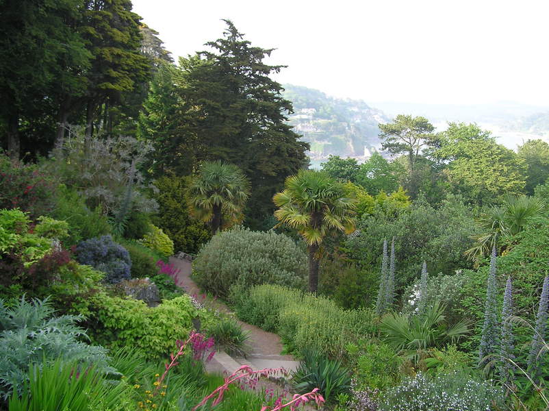 Garden full of tall trees, palms, exotic (to my untrained eye) plants.