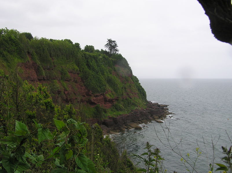 Wet looking red cliffs with lots of ivy, grey and cloudy sky behind.