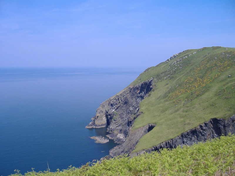 Looking towards a grassy headland high above the sea, ferns in the foreground